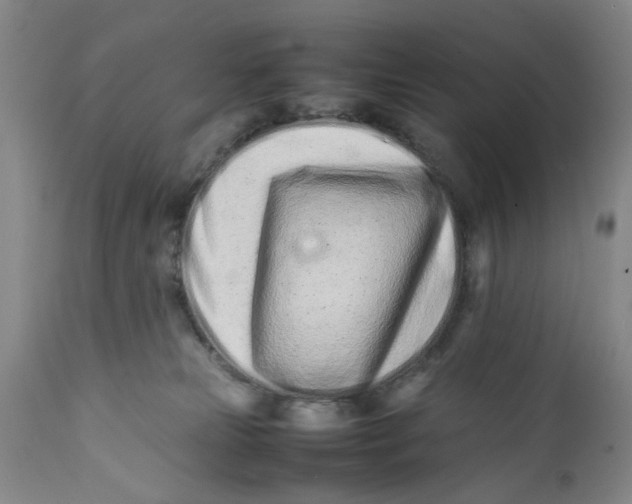 X0000112370181200909101330