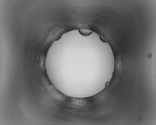 X0000112370185200909101330
