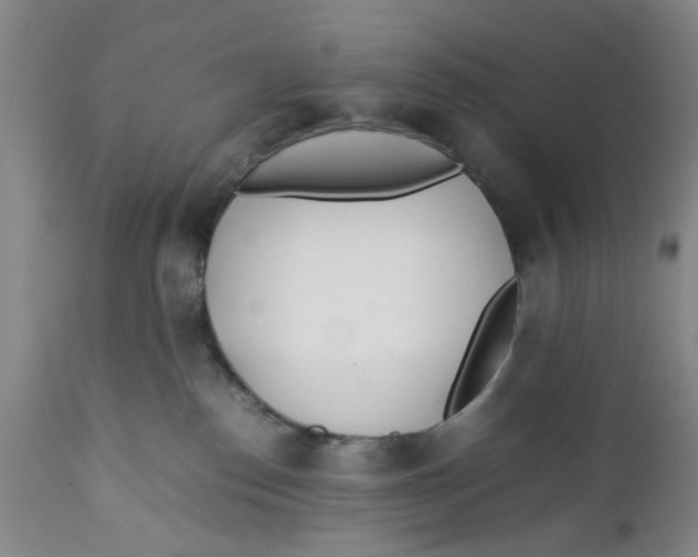 X0000112370186200909101330