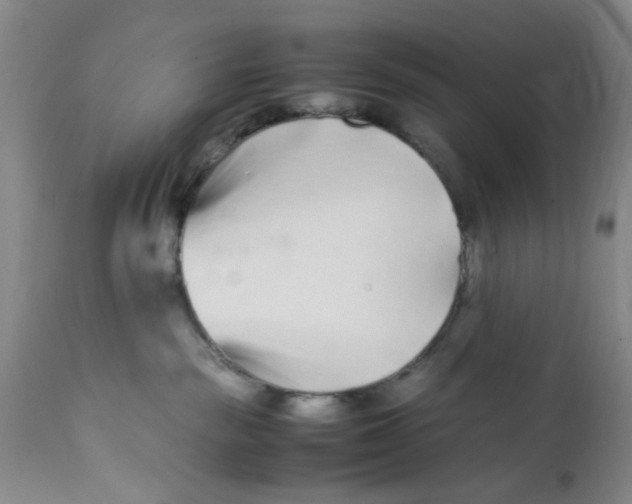 X0000112370189200909101330