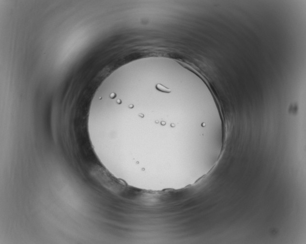 X0000112370190200909101330