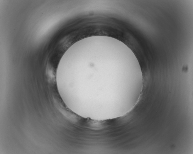 X0000112370191200909101330