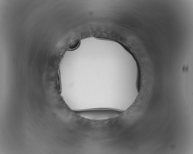 X0000112370192200909101330