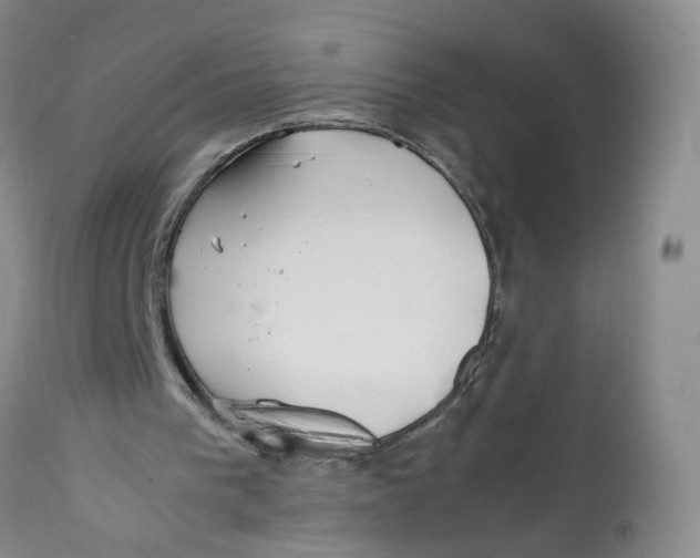 X0000112370193200909101330