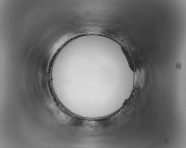 X0000112370195200909101330