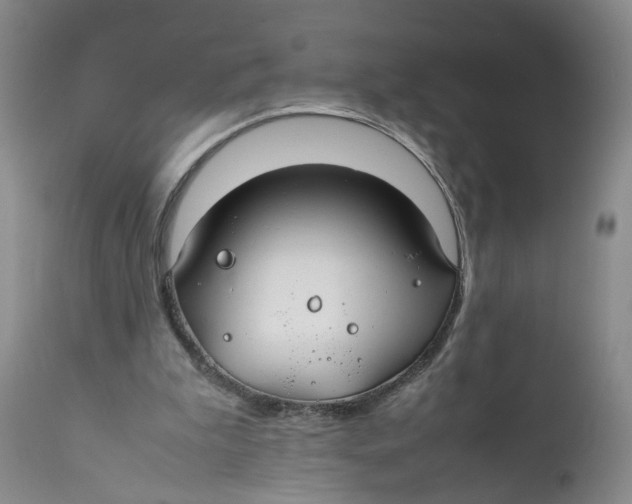 X0000112370199200909101330