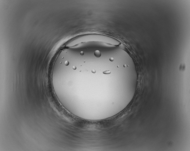 X0000112370200200909101330