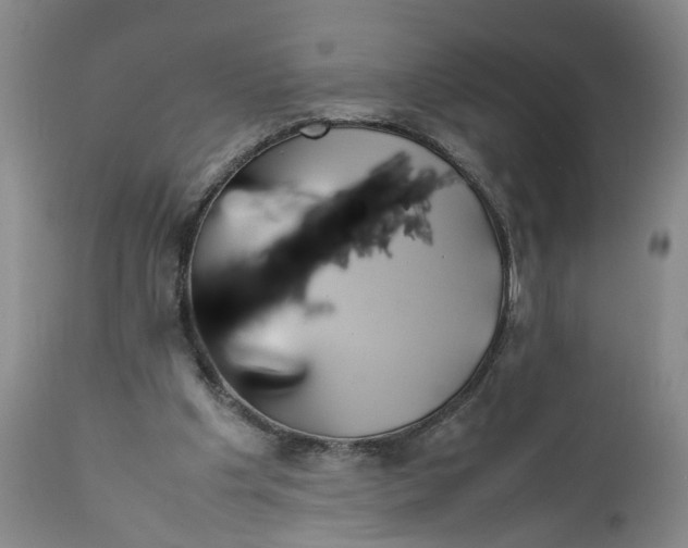 X0000112370201200909101330