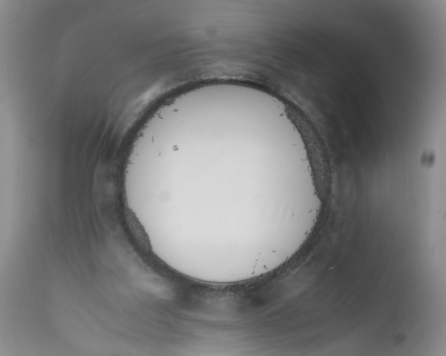 X0000112370203200909101330