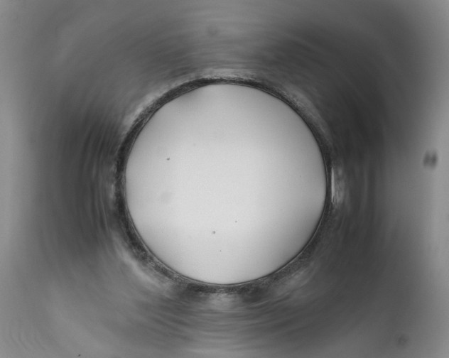 X0000112370204200909101330
