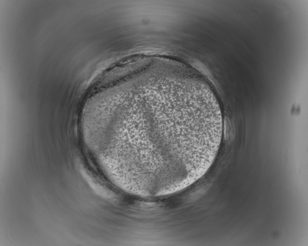 X0000112370205200909101330