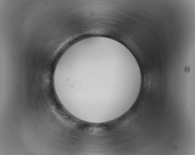 X0000112370208200909101330