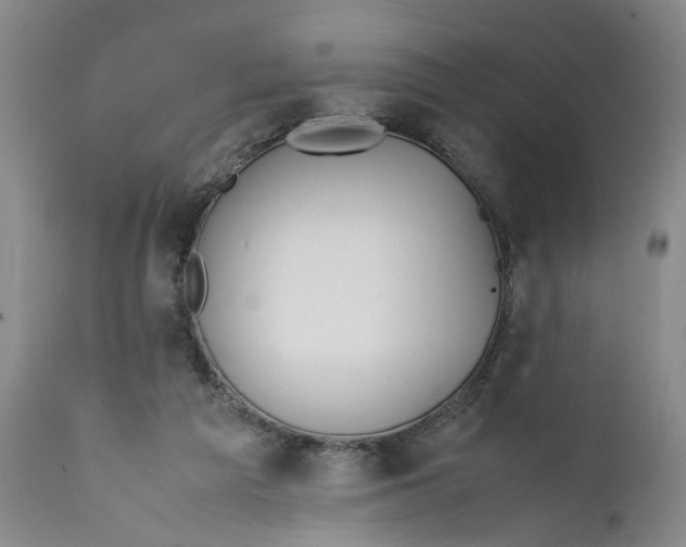 X0000112370209200909101330