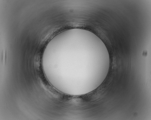 X0000112370210200909101330