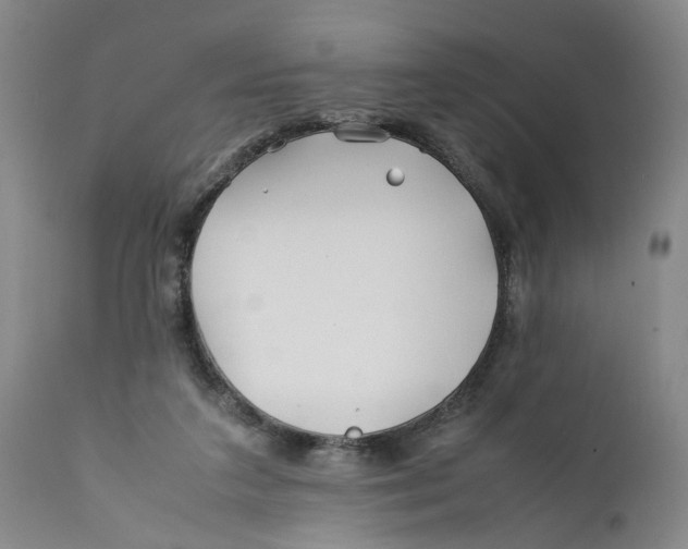 X0000112370211200909101330