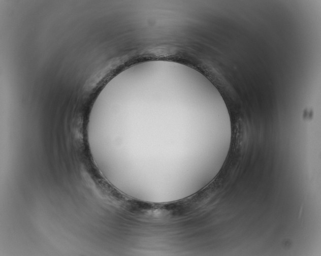 X0000112370212200909101329