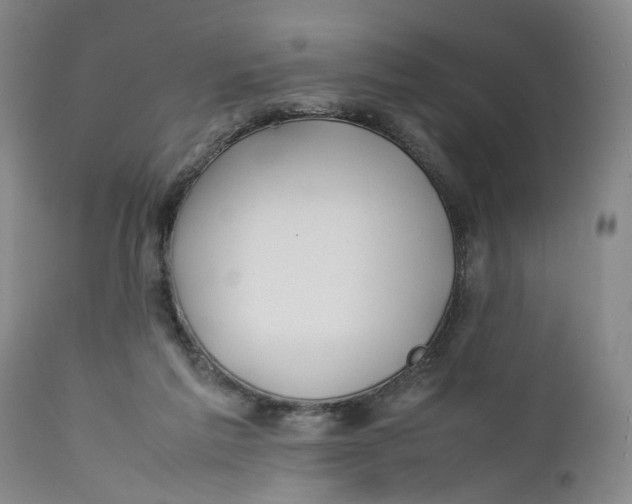 X0000112370213200909101329
