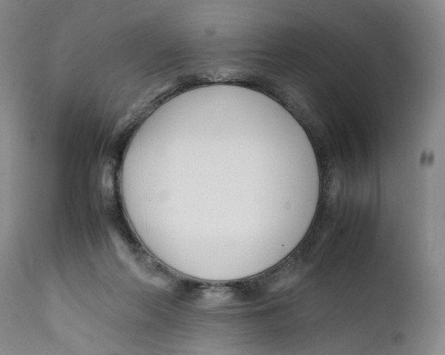 X0000112370214200909101329