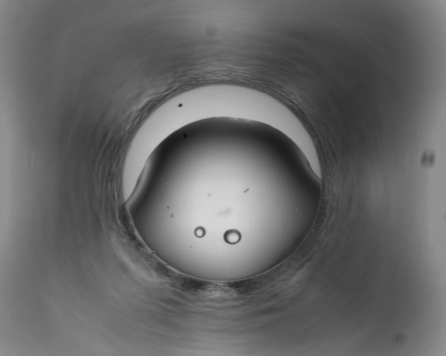 X0000112370215200909101329