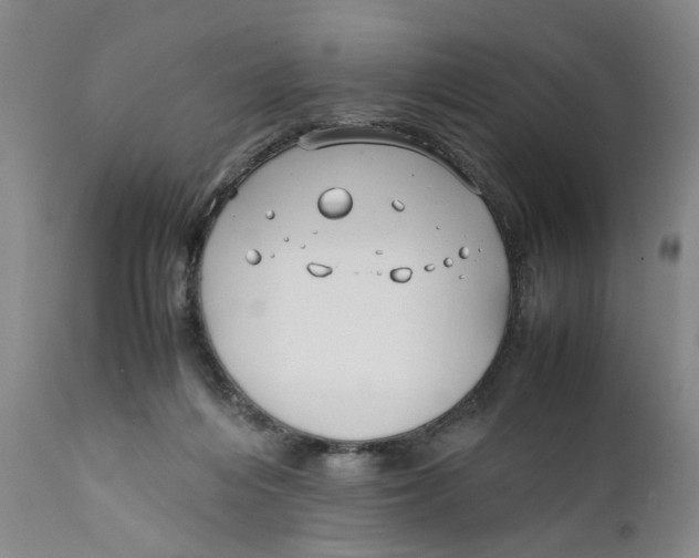 X0000112370216200909101329