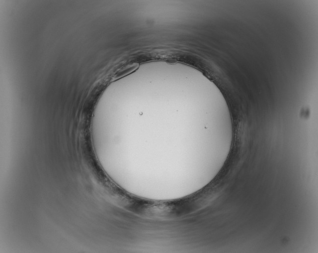 X0000112370217200909101329