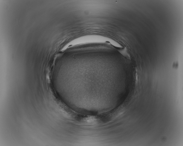 X0000112370219200909101329