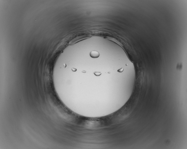 X0000112370220200909101329