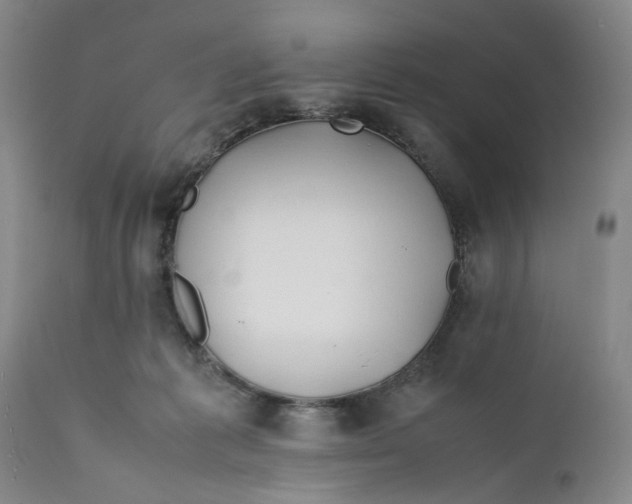 X0000112370221200909101329
