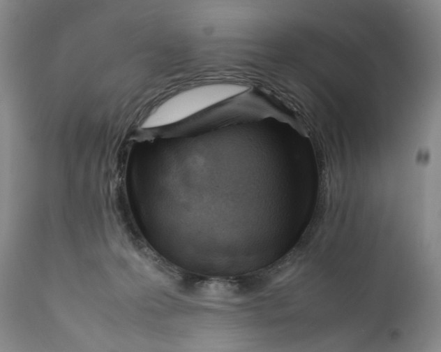 X0000112370223200909101329