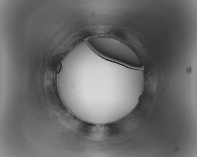 X0000112370225200909101329