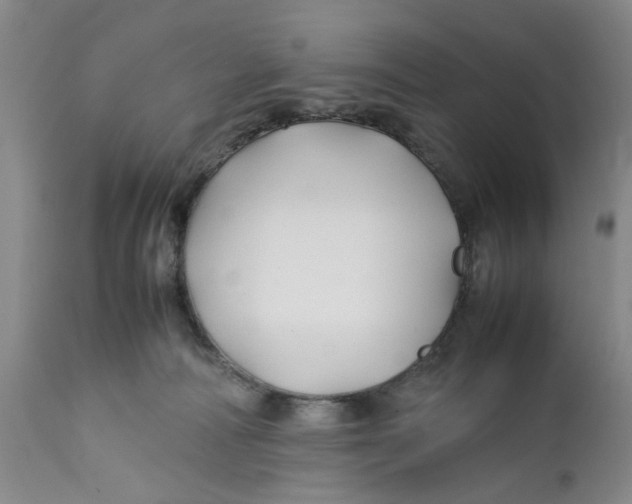 X0000112370226200909101329