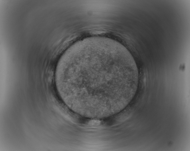 X0000112370227200909101329
