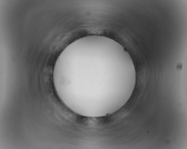 X0000112370229200909101329