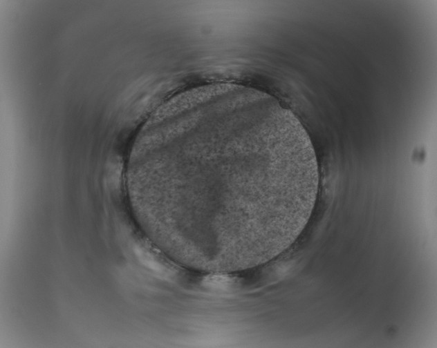 X0000112370231200909101329