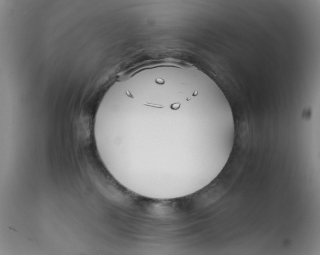 X0000112370232200909101329