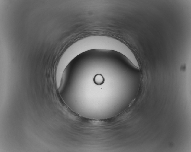 X0000112370233200909101329