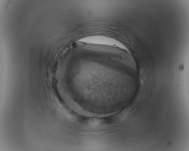X0000112370235200909101329