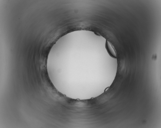 X0000112370236200909101329