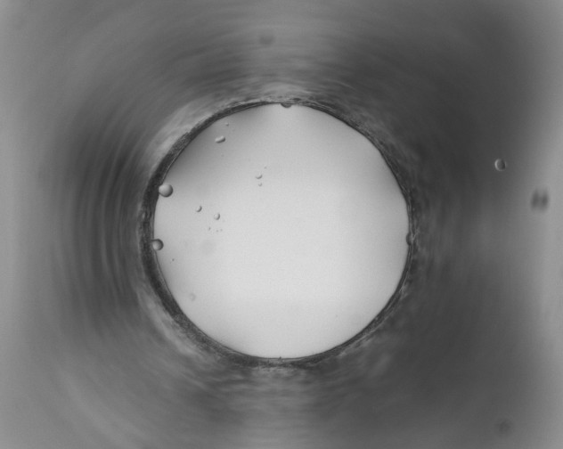 X0000112370242200909101328