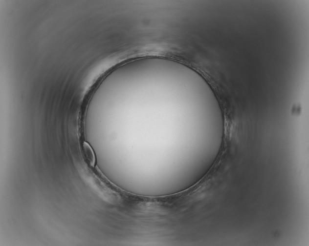 X0000112370244200909101328