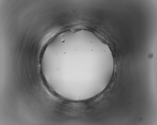 X0000112370245200909101329