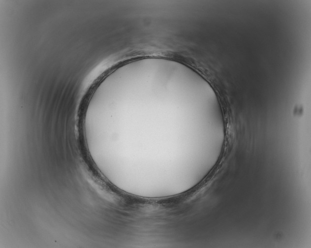 X0000112370246200909101329