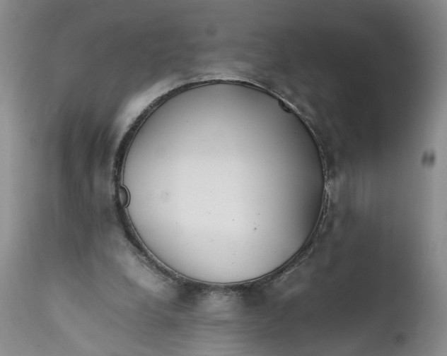 X0000112370248200909101329