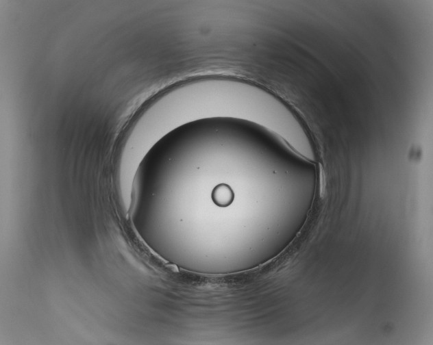 X0000112370252200909101329