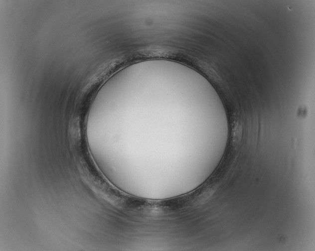 X0000112370254200909101329