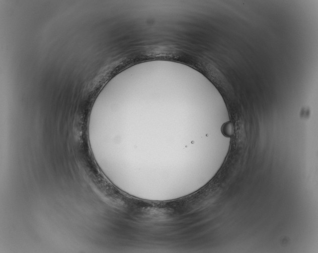 X0000112370255200909101329