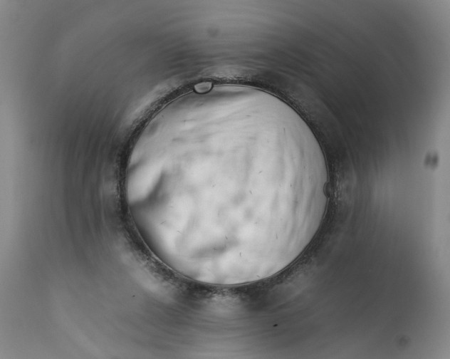X0000112370256200909101329