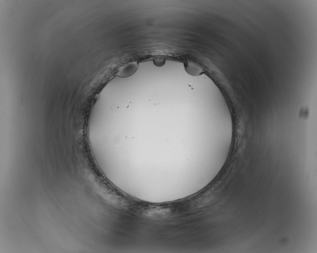 X0000112370257200909101329