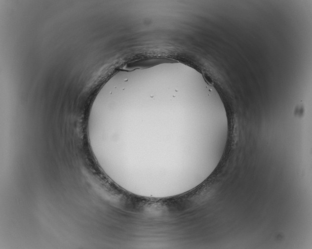 X0000112370258200909101329