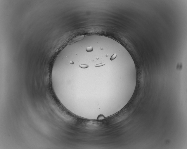 X0000112370261200909101329
